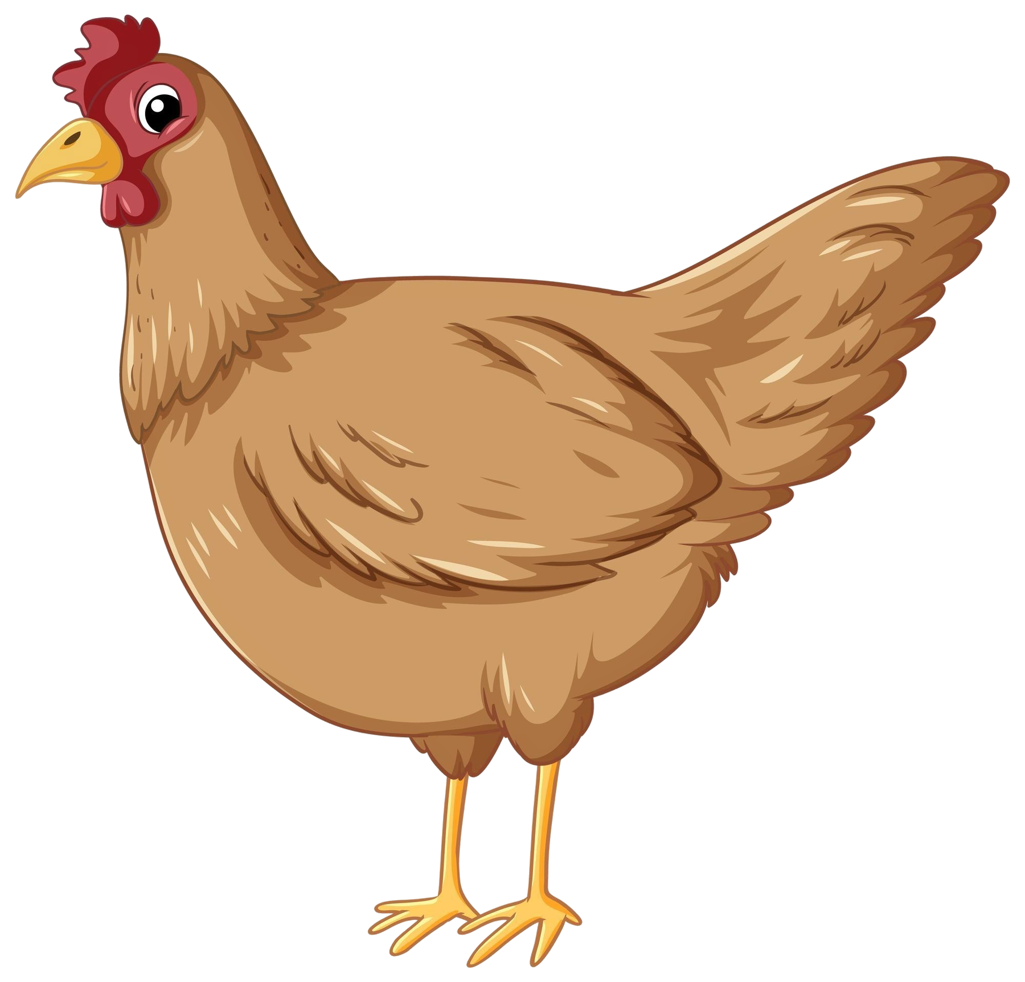 chicken-cartoon-style